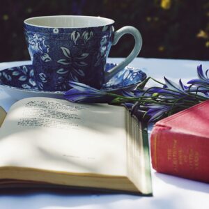 Online Poetry Tea Time (vanaf secundair)